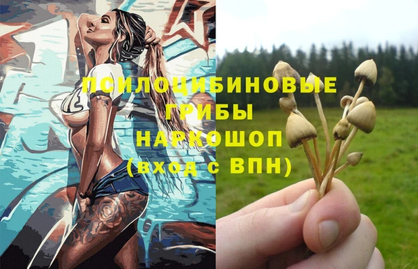 мдпв Арсеньев