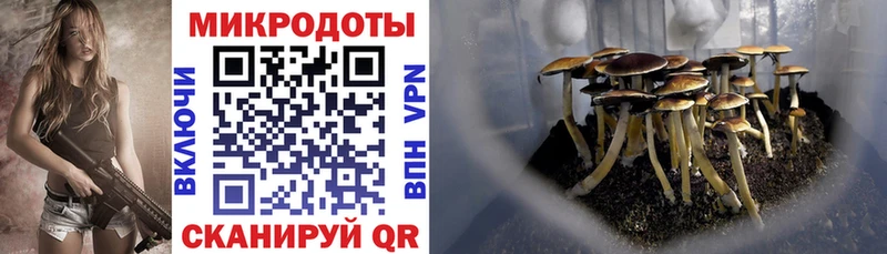 МЕГА ссылки  Калининск  Псилоцибиновые грибы мухоморы 